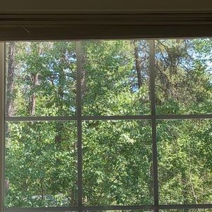 Meet your Posher, Quinn